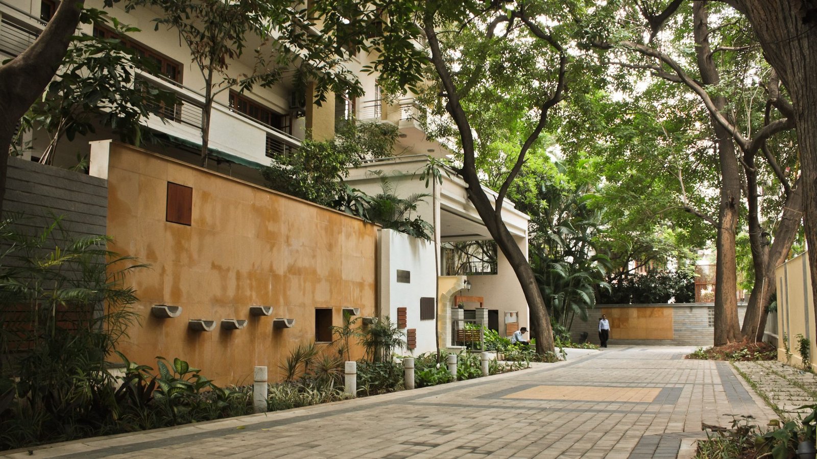 Museum Road