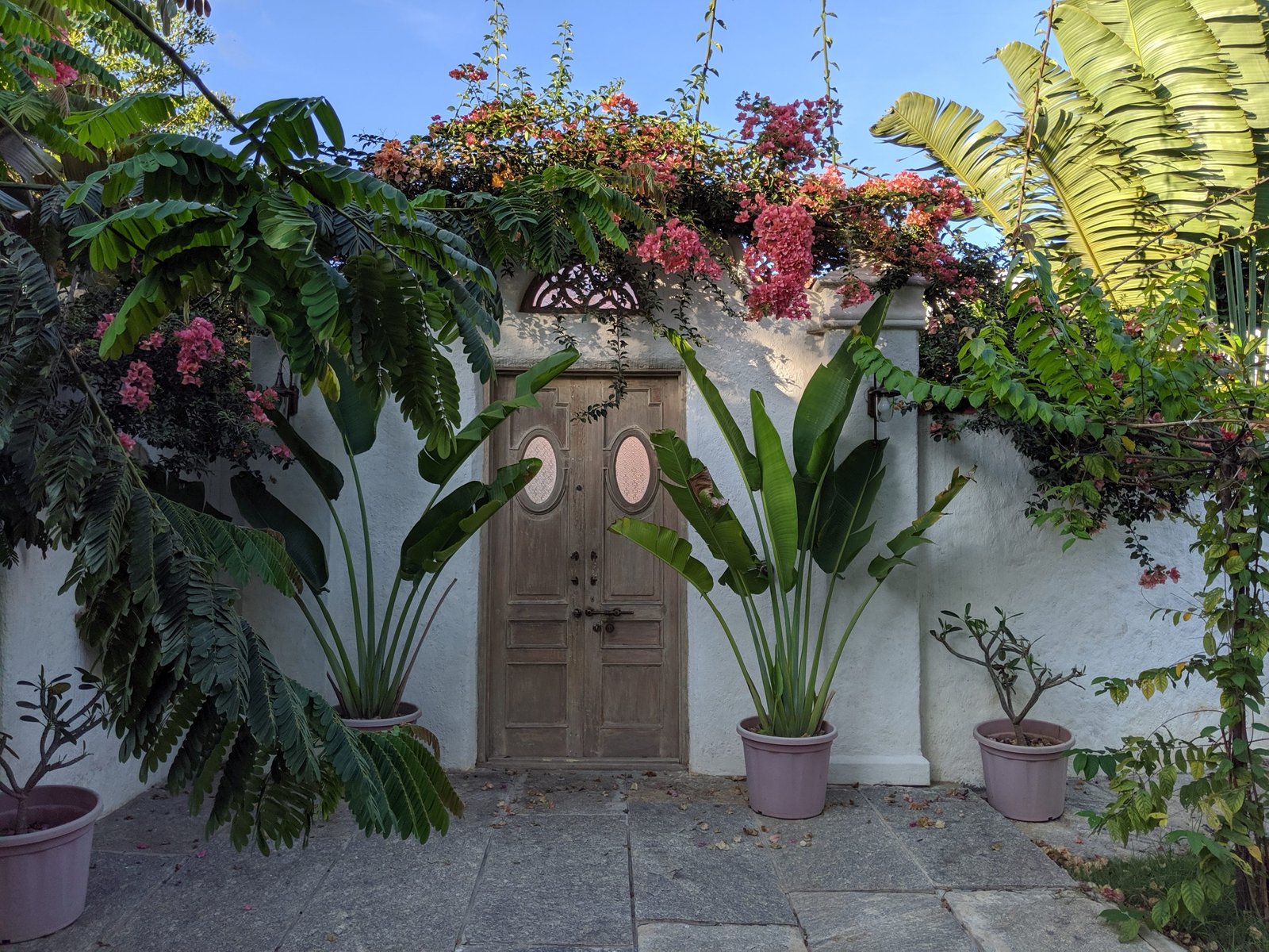 Suleman House